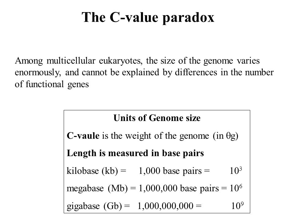Genes and Evolution Genome Structure and Evolution The C-value paradox-  differences in genome size Types of DNA- genes, pseudogenes and repetitive  DNA. - ppt download