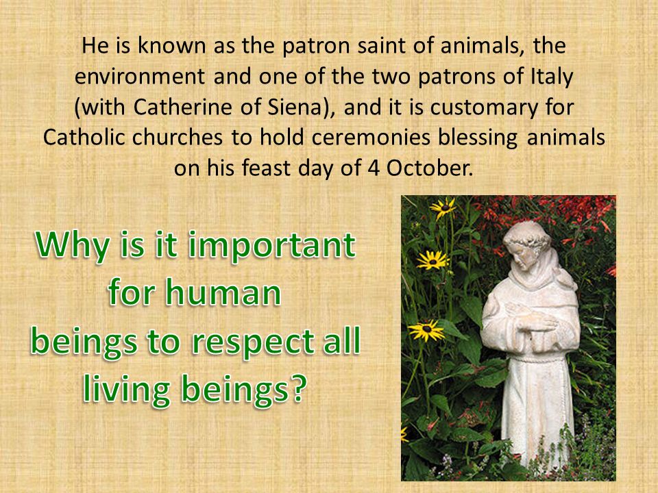 He is known as the patron saint of animals, the environment and one of the  two patrons of Italy (with Catherine of Siena), and it is customary for. -  ppt download