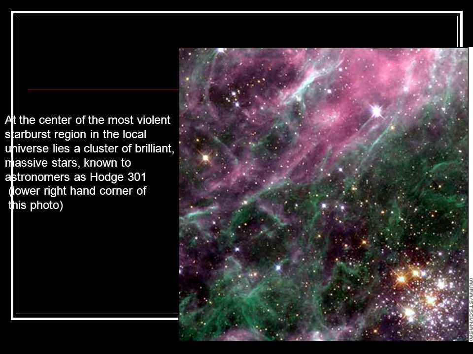 Very Massive Stars in the Local Universe