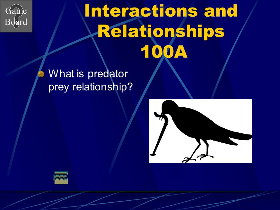 Game Board Interactions and Relationships 100 The relationship that exists between a robin and a worm.