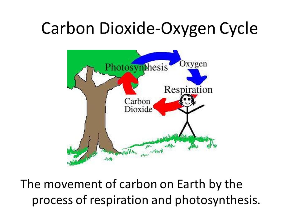 Use carbon dioxide. Oxygen Carbon dioxide. Кислород в карбоне. Avoid Carbon dioxide. The process of Plant respiration.