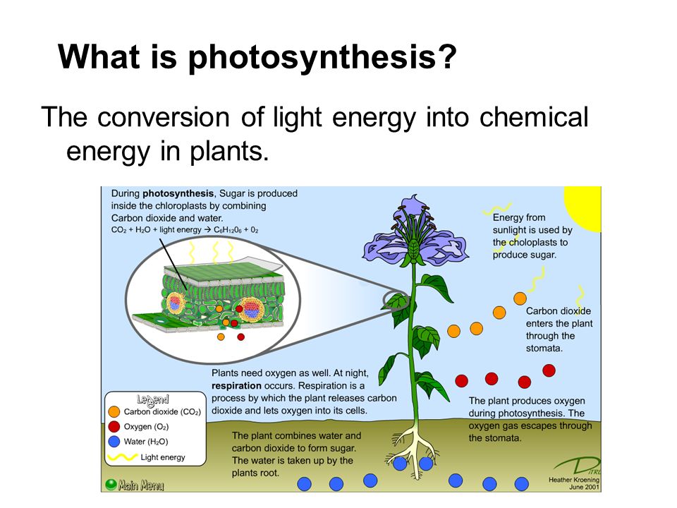 synthesis of each molecule of glucose in photosynthesis involves