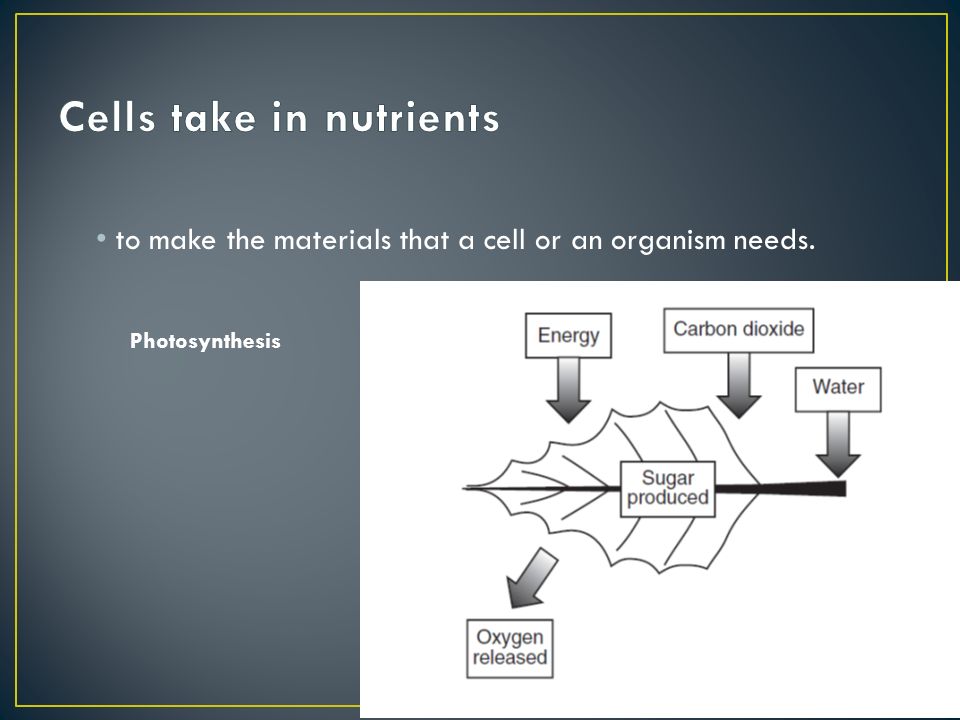 to make the materials that a cell or an organism needs. Photosynthesis