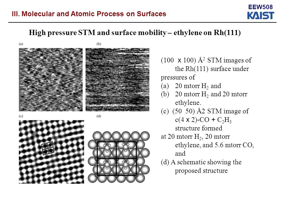EEW508 High pressure STM and surface mobility – ethylene on Rh(111) (100 x 100) Å 2 STM images of the Rh(111) surface under pressures of (a)20 mtorr H 2 and (b)20 mtorr H 2 and 20 mtorr ethylene.