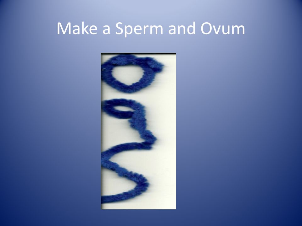 spurt sperm cervix womb Facial info jism remember