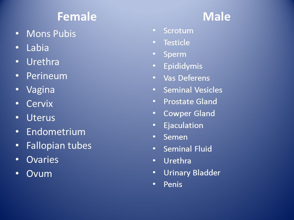 Labia Contest