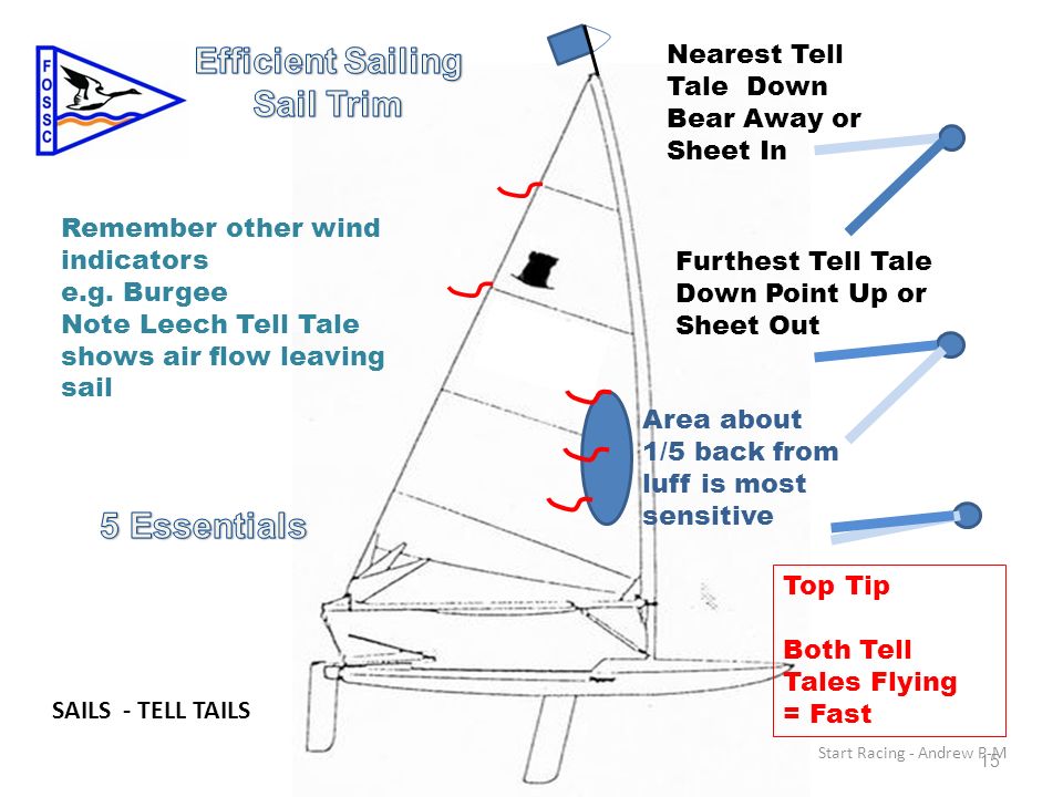 Sail Trim Chart