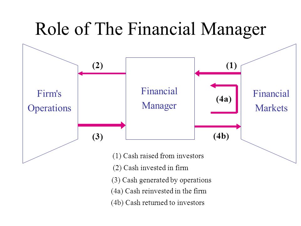 The Role Of A Financial Manager Corporations Roles And Titles Of Financial  Managers Principal-Agent Problems Presentation – Dennis Spice. - Ppt  Download