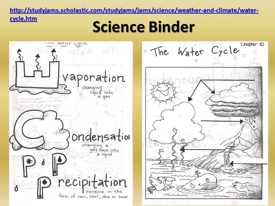Science Binder   cycle.htm   cycle.htm