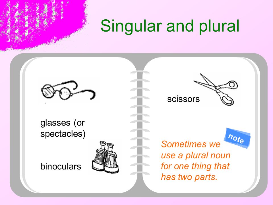 English Grammar in Use  Countable and uncountable nouns  The  Singular  and plural 情景语法 5 ：名词. - ppt download