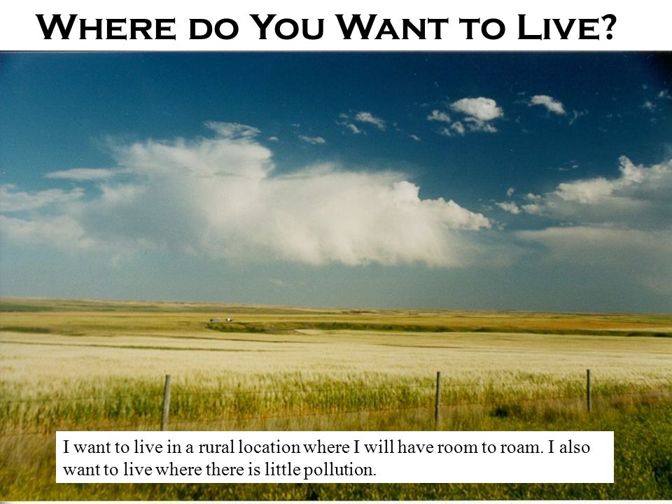 Where do You Want to Live . I want to live in a rural location where I will have room to roam.
