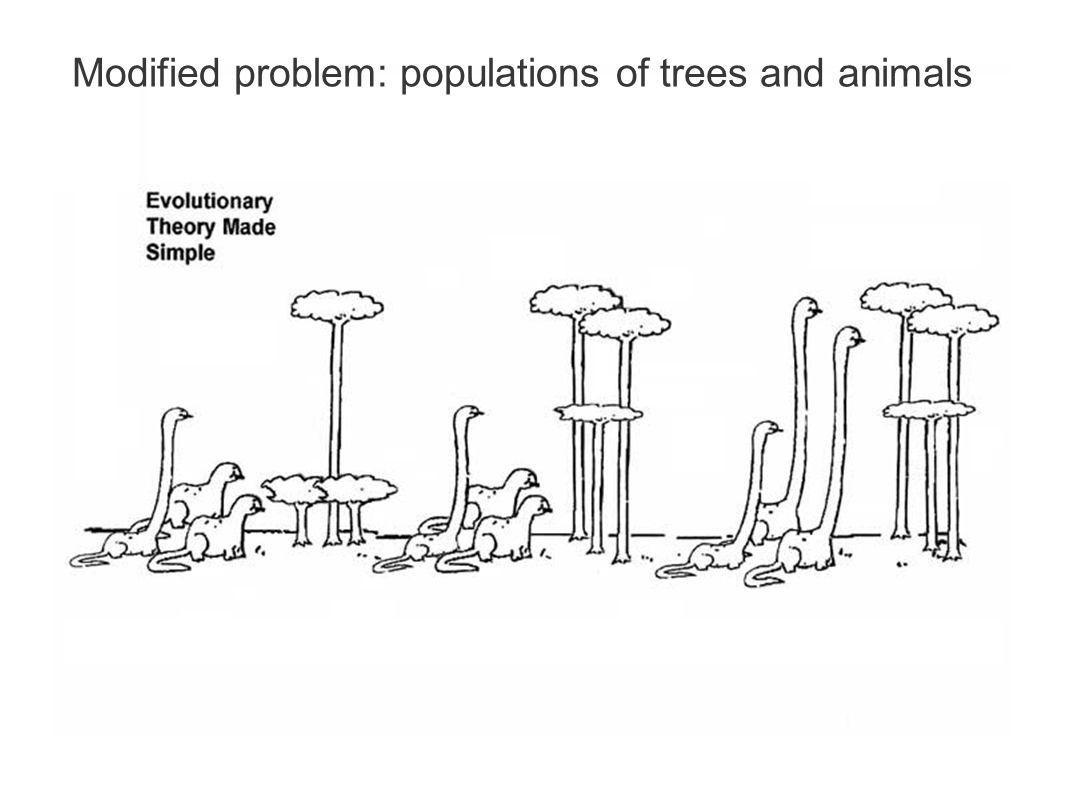 Modified problem: populations of trees and animals