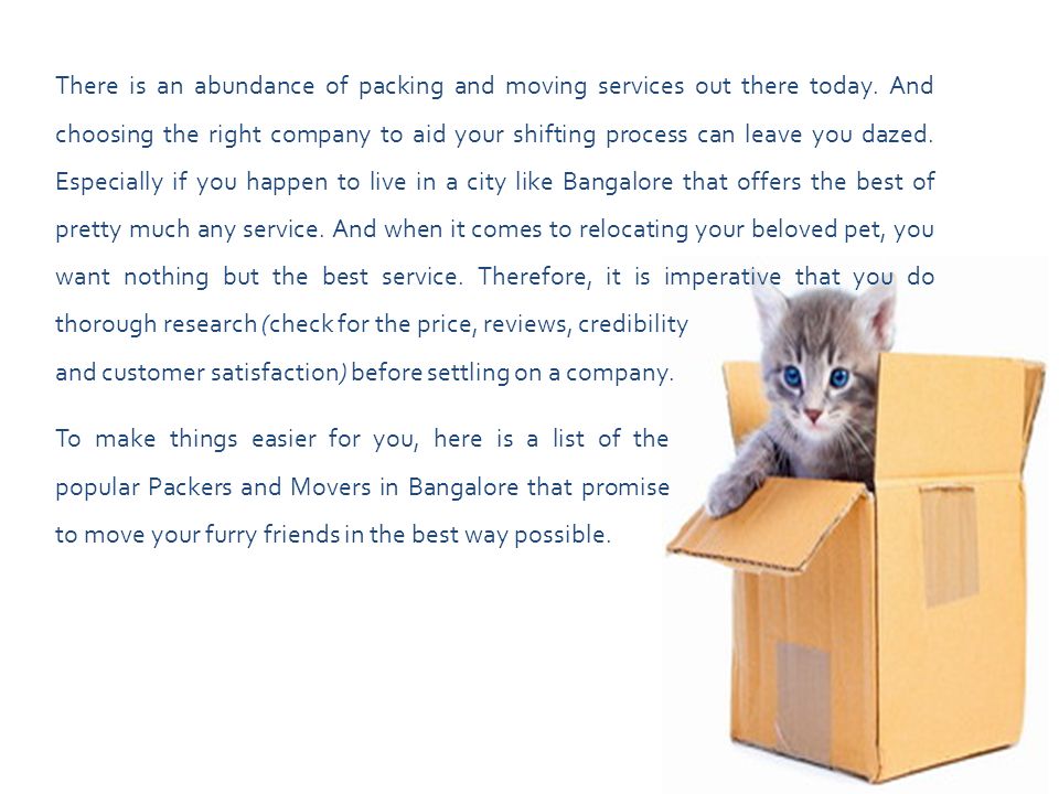 To make things easier for you, here is a list of the popular Packers and Movers in Bangalore that promise to move your furry friends in the best way possible.