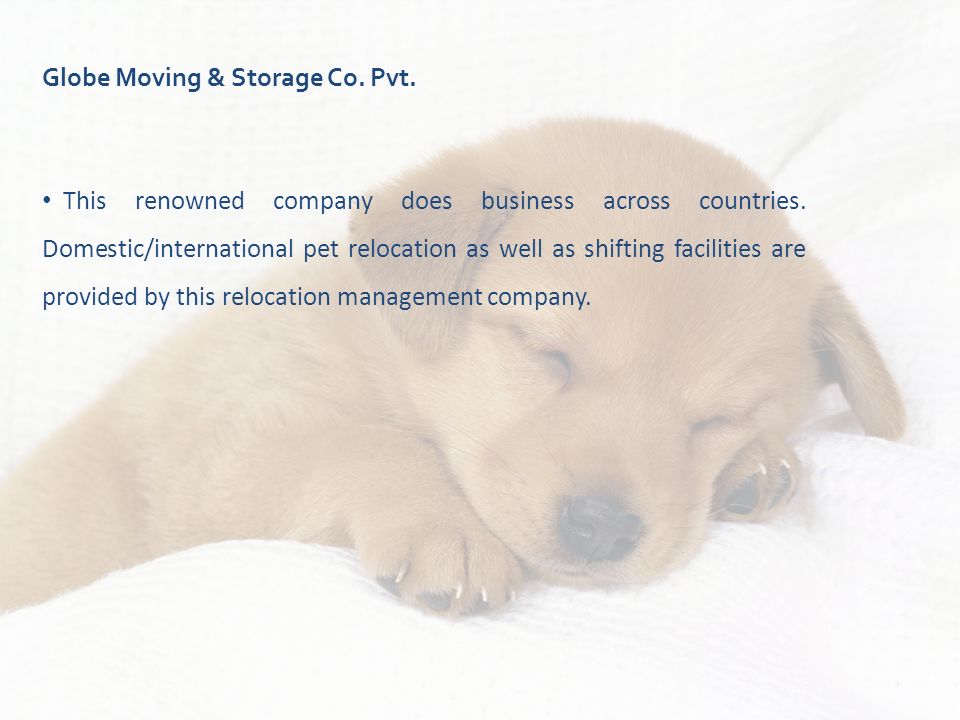 Globe Moving & Storage Co. Pvt. This renowned company does business across countries.