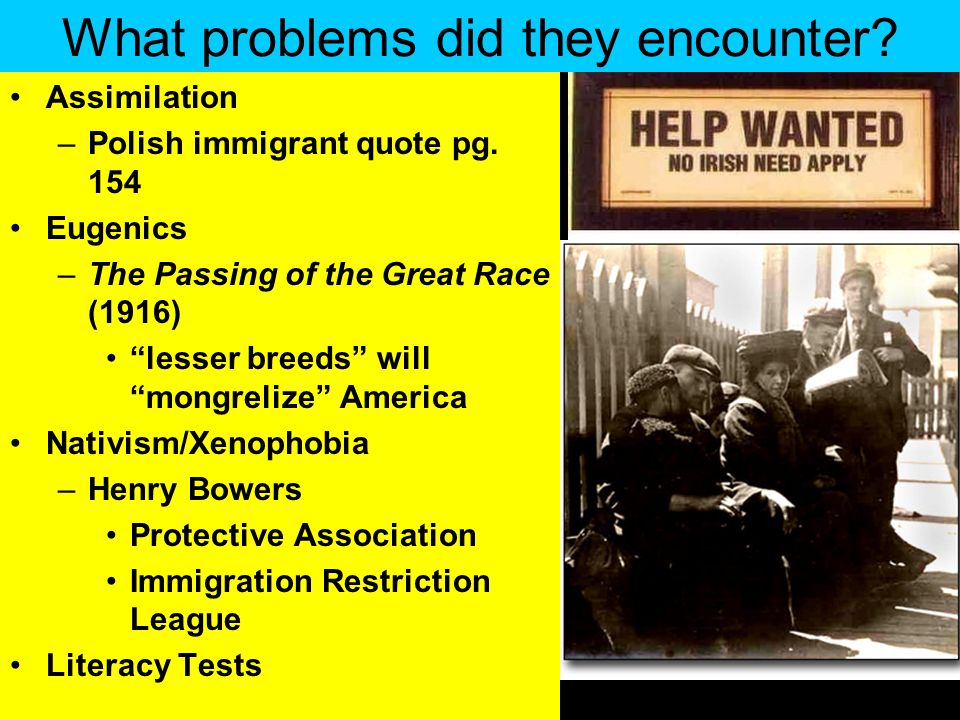 What problems did they encounter. Assimilation –Polish immigrant quote pg.