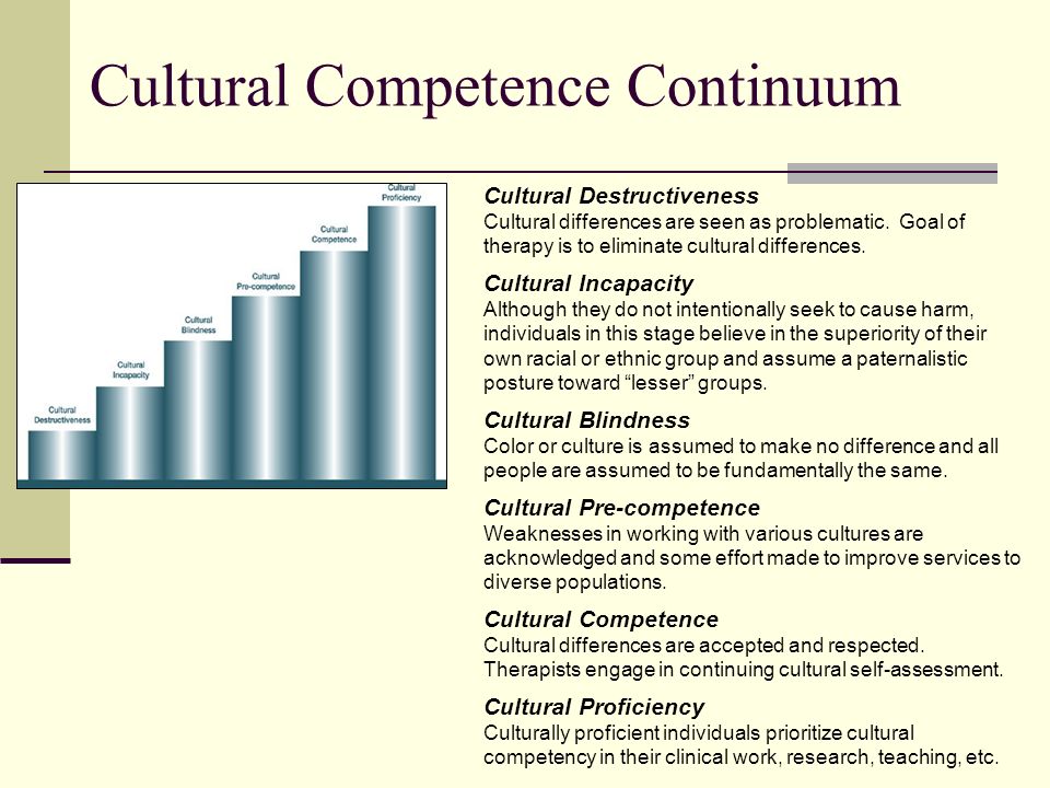 Cultural competence continuum theory of sexual orientation Cultural competence continuum theory of sexual orientation