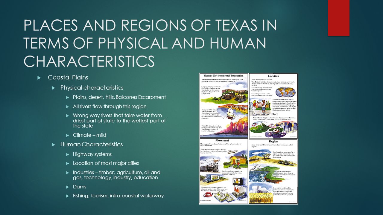 PLACES AND REGIONS OF TEXAS IN TERMS OF PHYSICAL AND HUMAN CHARACTERISTICS  Coastal Plains  Physical characteristics  Plains, desert, hills, Balcones Escarpment  All rivers flow through this region  Wrong way rivers that take water from driest part of state to the wettest part of the state  Climate – mild  Human Characteristics  Highway systems  Location of most major cities  Industries – timber, agriculture, oil and gas, technology, industry, education  Dams  Fishing, tourism, intra-coastal waterway