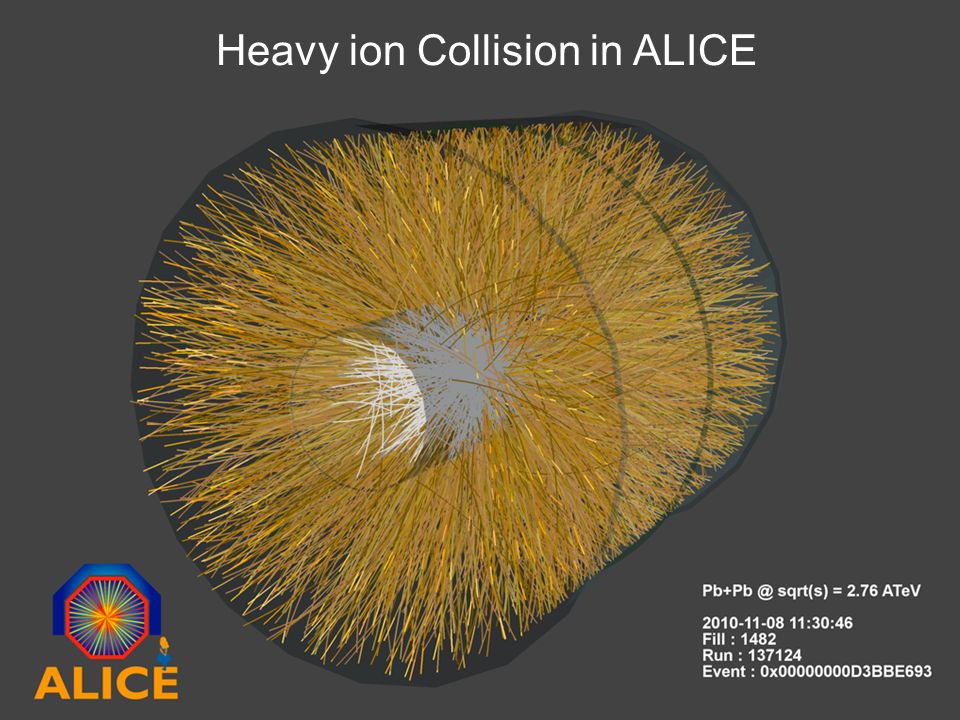 11 Heavy ion Collision in ALICE