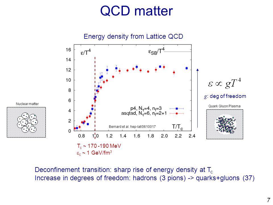 7 QCD matter Bernard et al.