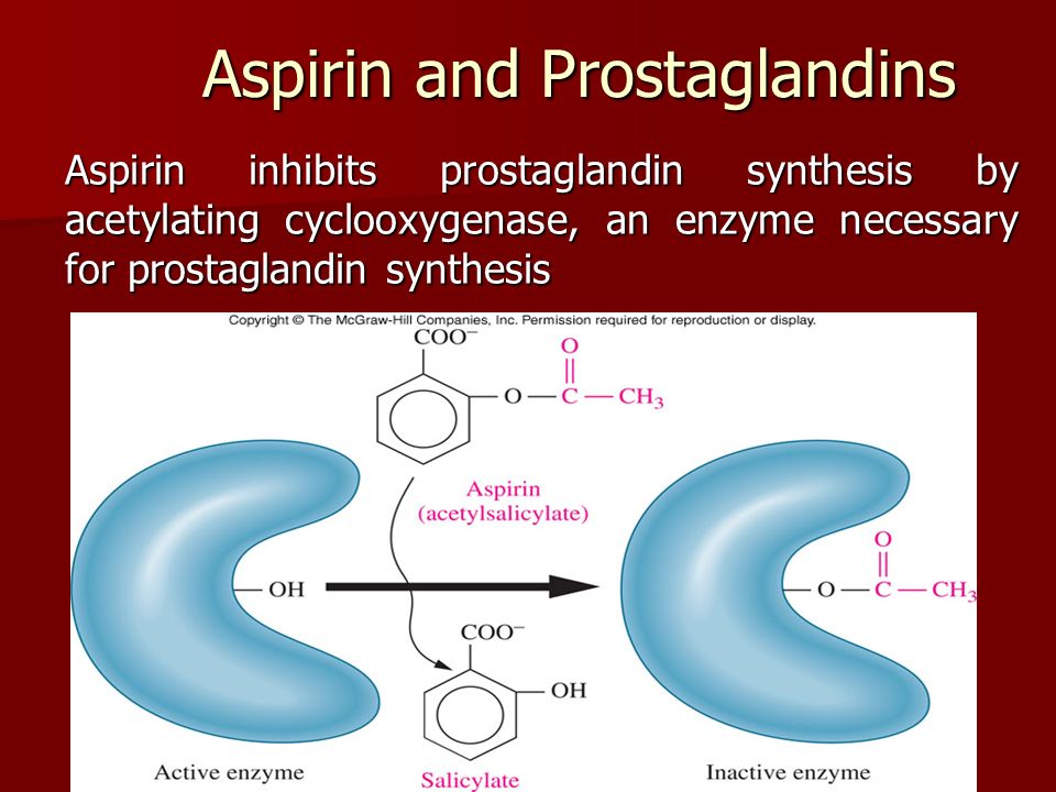 Aspirin and Prostaglandins Aspirin inhibits prostaglandin synthesis by acetylating cyclooxygenase, an enzyme necessary for prostaglandin synthesis