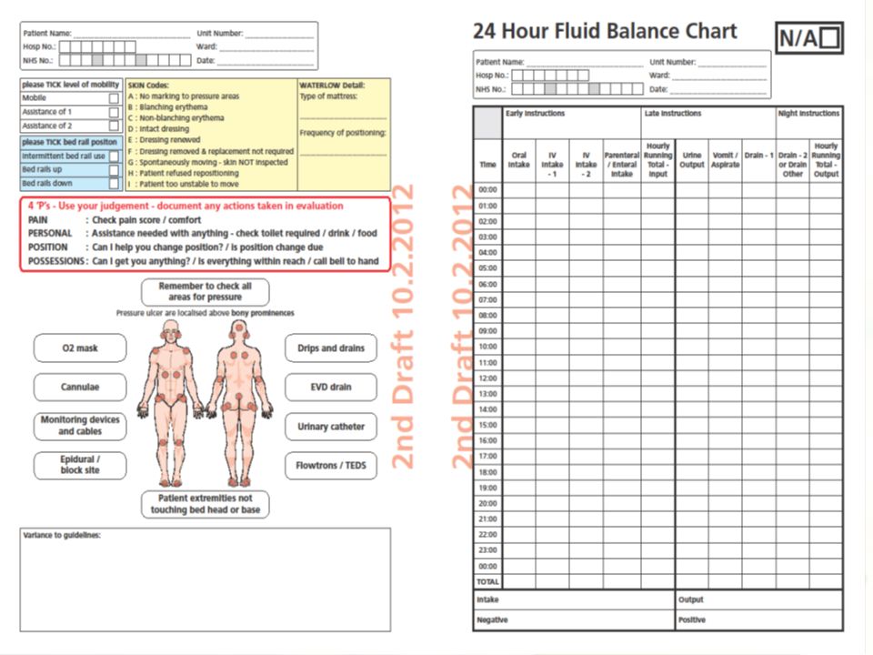 24 Hour Chart Check Form