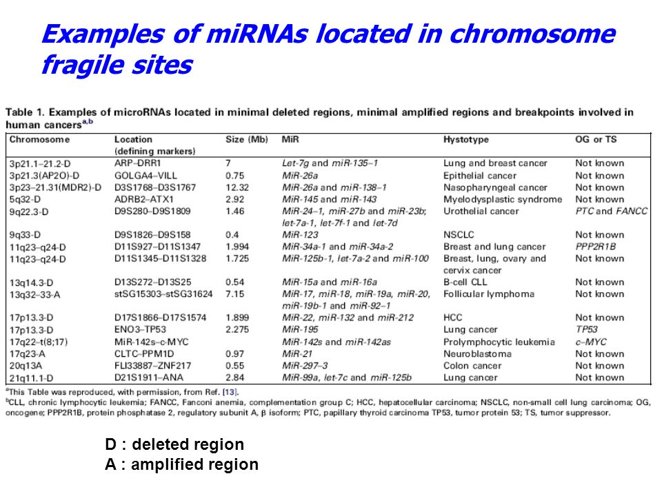 MicroRNAs Small Non-coding RNAs with Big Impact in Biology Hua-Chien Chen Ph.D Molecular Medicine Research Center Chang Gung... 