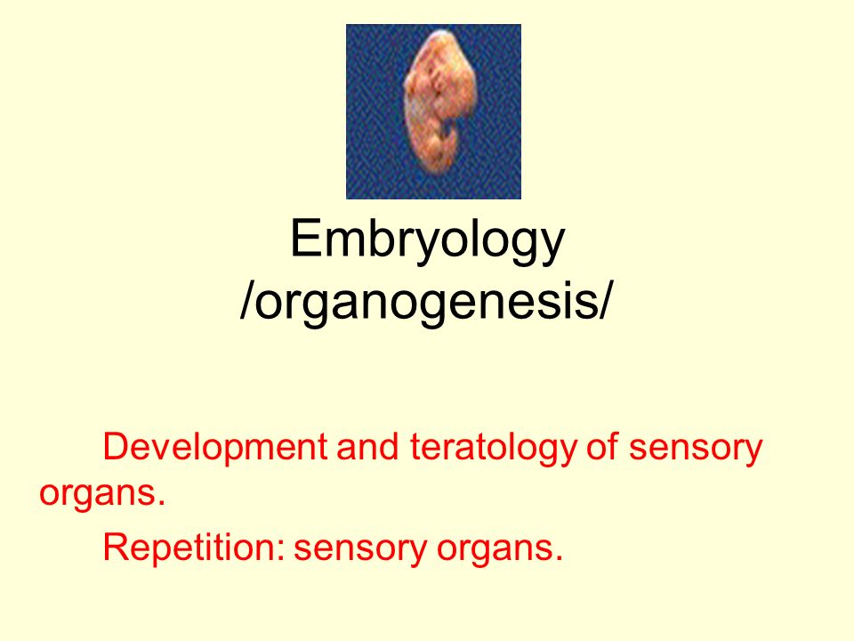 Embryology /organogenesis/ Development and teratology of sensory organs.