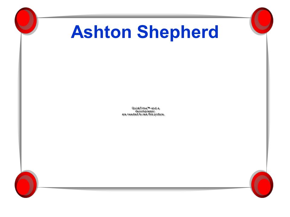 Ashton Shepherd