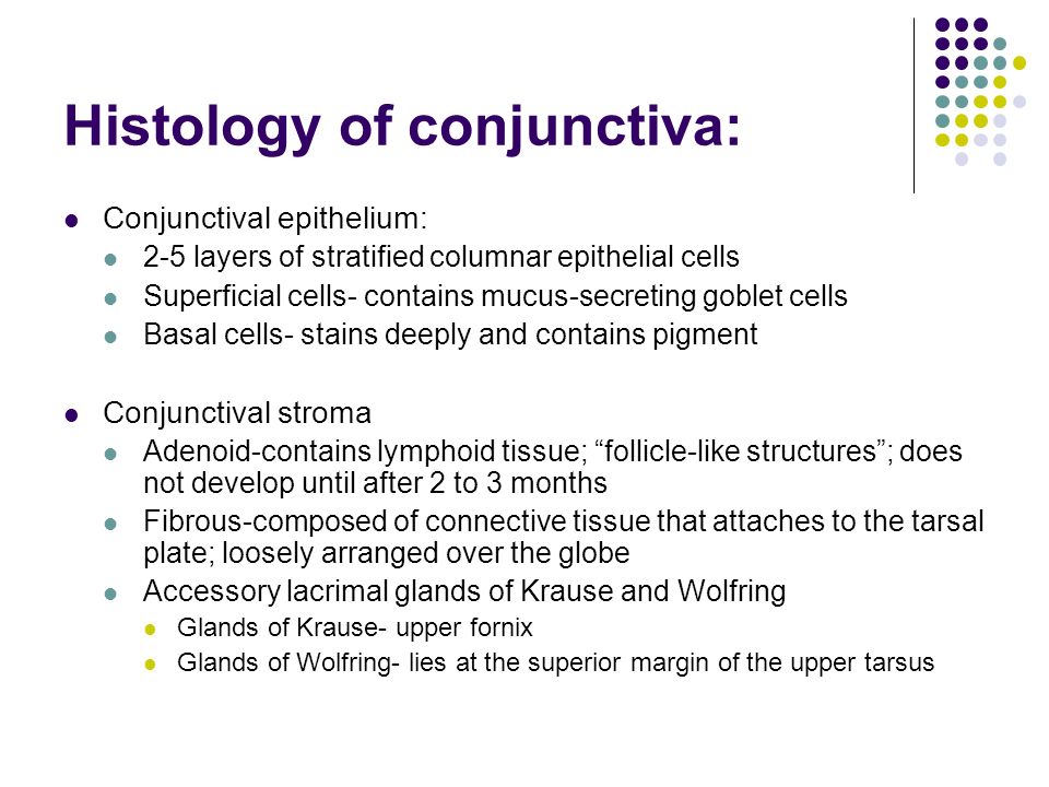 follicular conjunctivitis histology