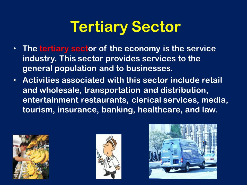 Ib Business And Management 1 1 Business Sectors Primary Secondary Tertiary Quaternary Sectors Ppt Download