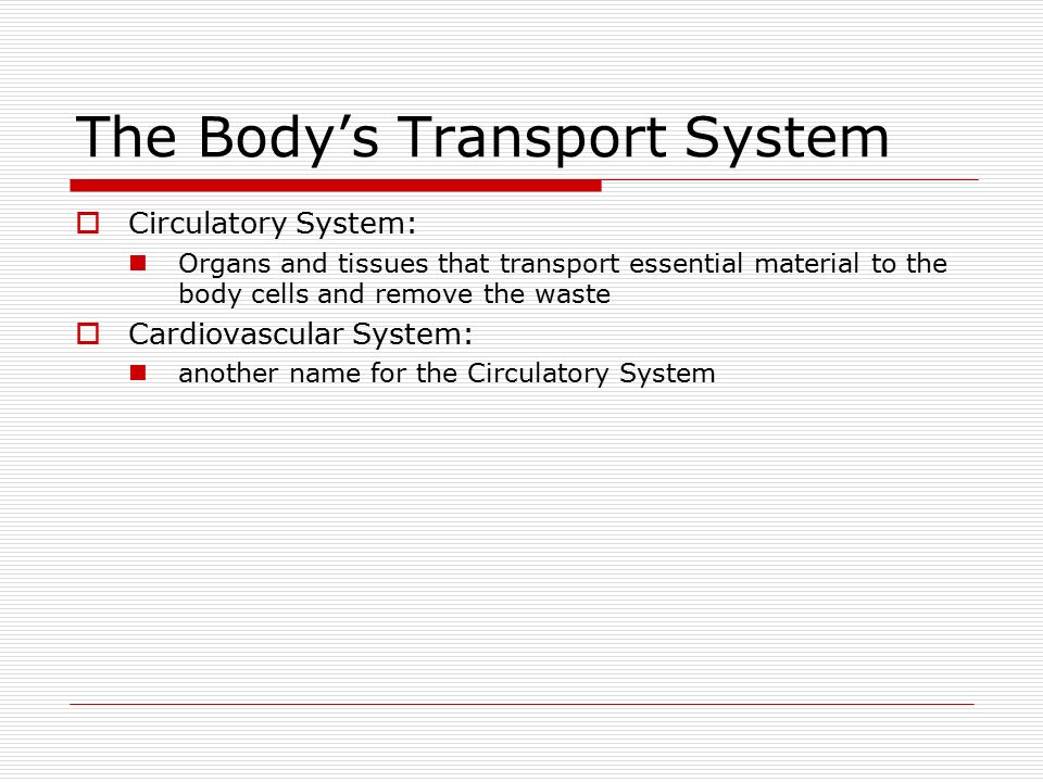 The Body’s Transport System  Circulatory System: Organs and tissues that transport essential material to the body cells and remove the waste  Cardiovascular System: another name for the Circulatory System