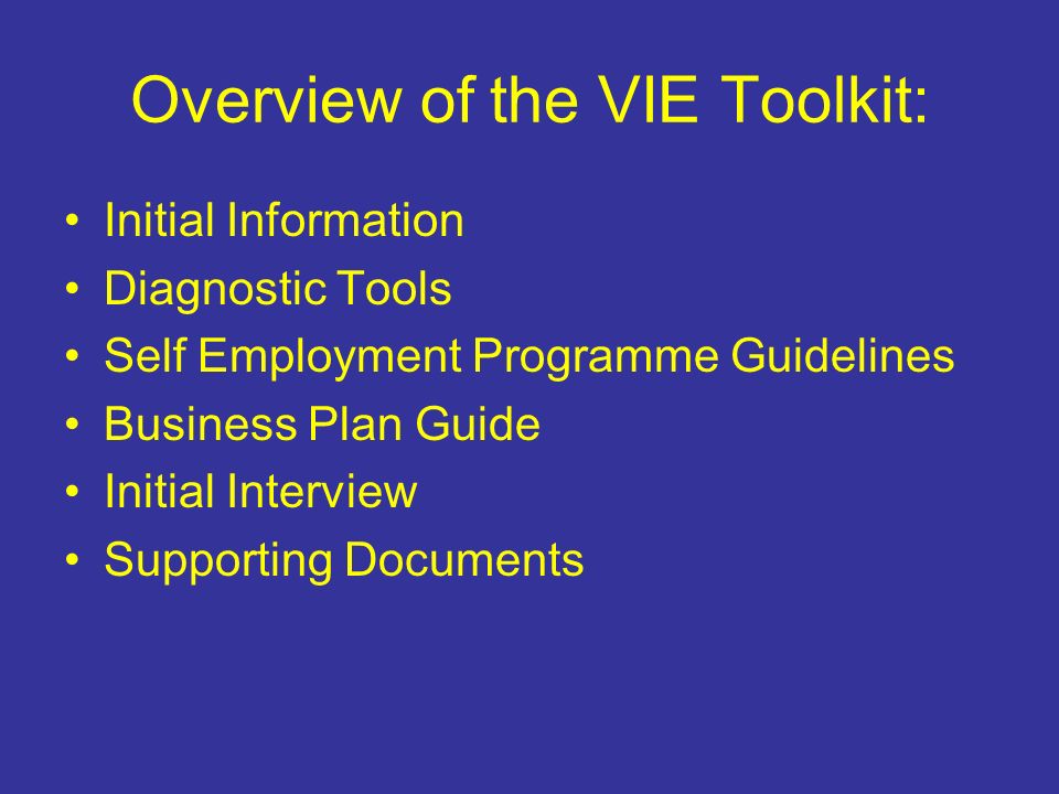 Overview of the VIE Toolkit: Initial Information Diagnostic Tools Self Employment Programme Guidelines Business Plan Guide Initial Interview Supporting Documents