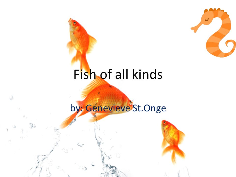 Fish of all kinds by: Genevieve St.Onge