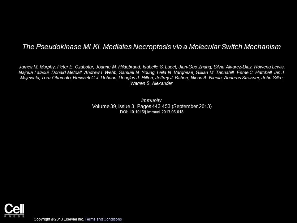 The Pseudokinase Mlkl Mediates Necroptosis Via A Molecular Switch Mechanism James M Murphy Peter E Czabotar Joanne M Hildebrand Isabelle S Lucet Ppt Download