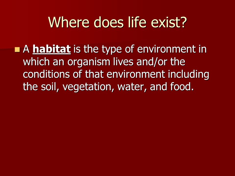 Where does life exist.
