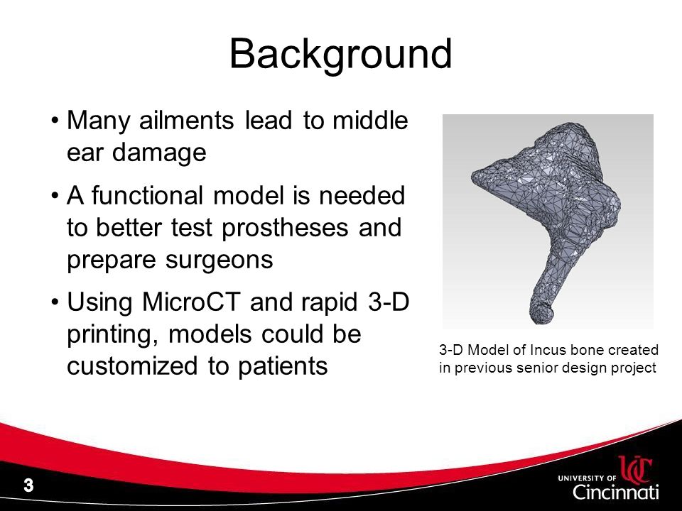 Background Many ailments lead to middle ear damage A functional model is needed to better test prostheses and prepare surgeons Using MicroCT and rapid 3-D printing, models could be customized to patients 3-D Model of Incus bone created in previous senior design project