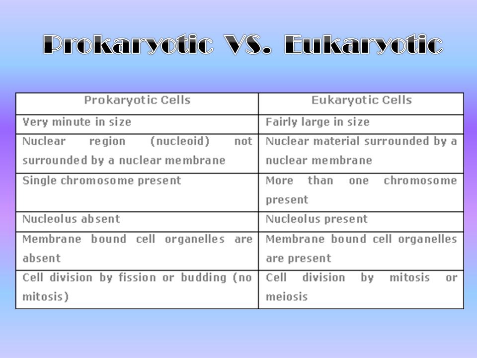 Prokaryotic Cells Vs Eukaryotic Cells Chart