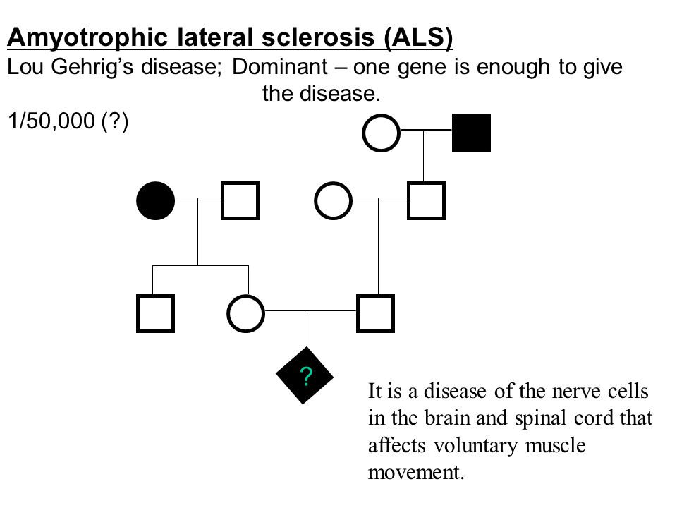 Als Pedigree Chart