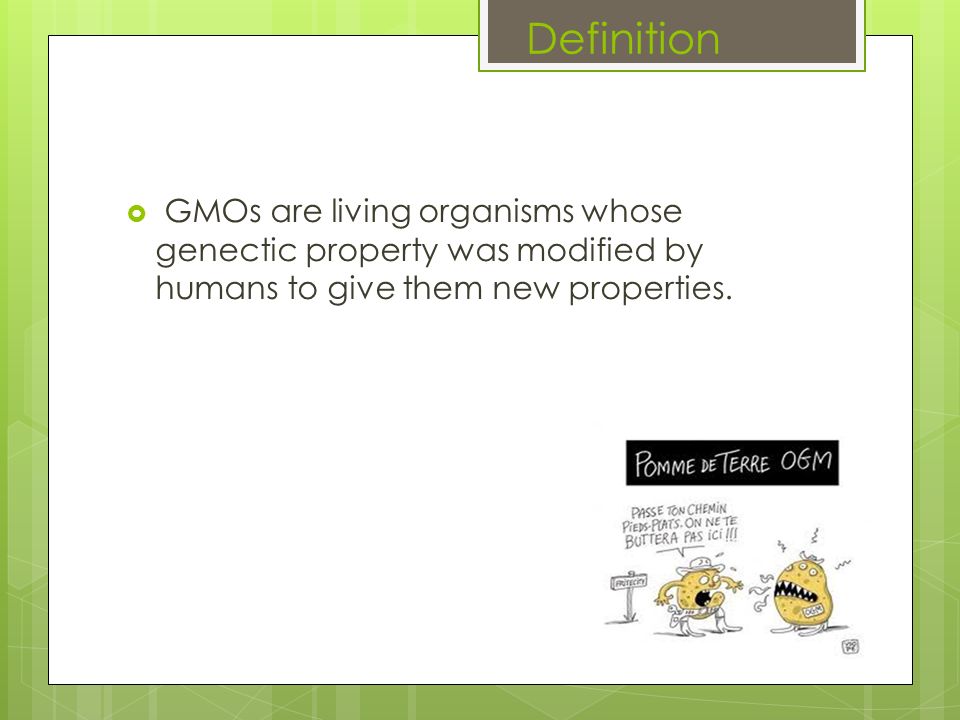 GMOs ( Genetically Modified Organisms ).  Definition  GMOs examples   Risks  Benefits  Disadvantages  GMOs in France  Lack of perspective   Conclusion. - ppt download
