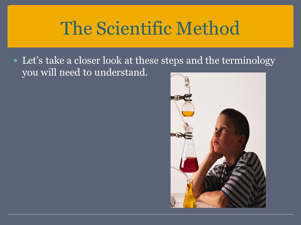 The Scientific Method Let’s take a closer look at these steps and the terminology you will need to understand.