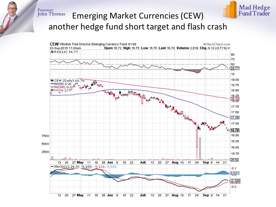 Emerging Market Currencies (CEW) another hedge fund short target and flash crash