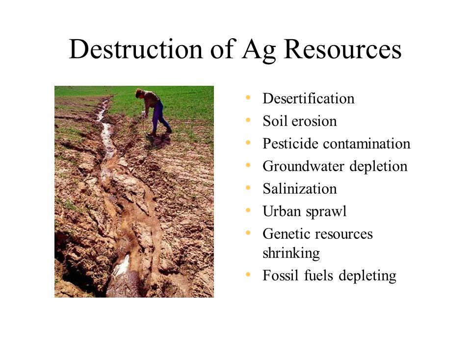Destruction of Ag Resources Desertification Soil erosion Pesticide contamination Groundwater depletion Salinization Urban sprawl Genetic resources shrinking Fossil fuels depleting
