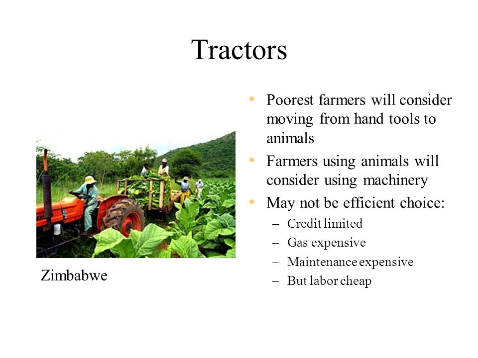 Tractors Poorest farmers will consider moving from hand tools to animals Farmers using animals will consider using machinery May not be efficient choice: –Credit limited –Gas expensive –Maintenance expensive –But labor cheap Zimbabwe