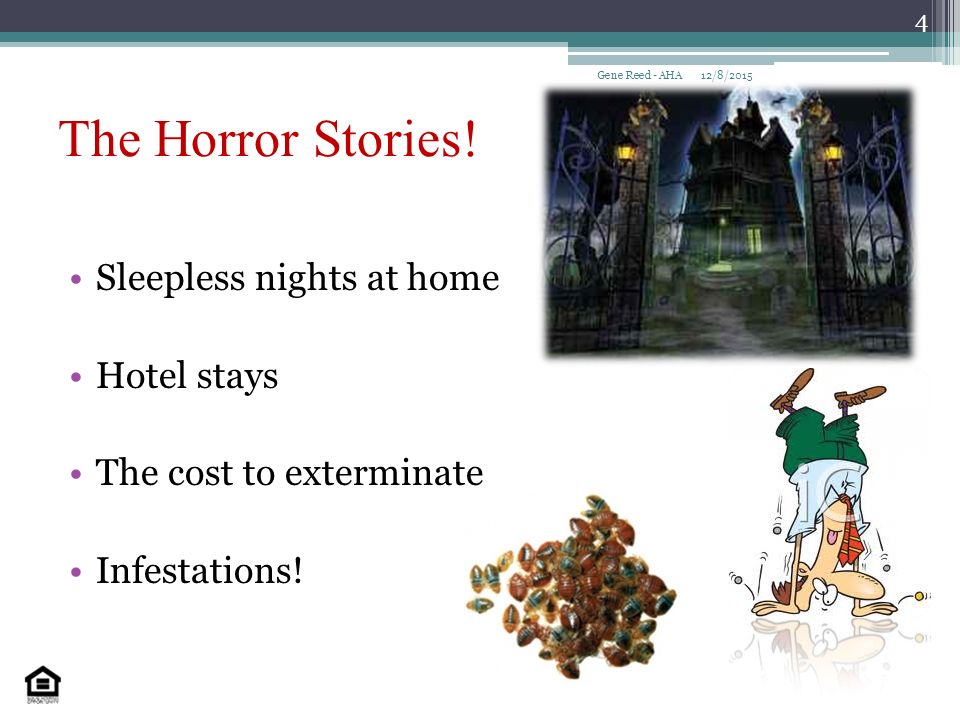 The Horror Stories. Sleepless nights at home Hotel stays The cost to exterminate Infestations.