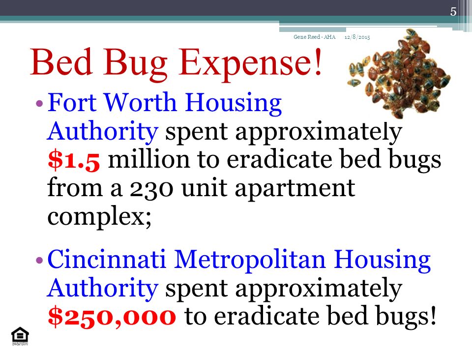Bed Bug Expense.