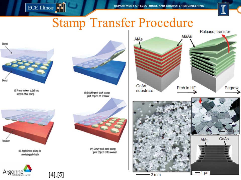 Stamp Transfer Procedure [4],[5]