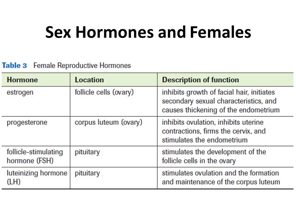Male and female sex hormones in primary headaches