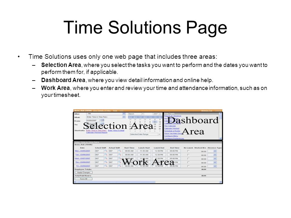 Time Solutions Page Time Solutions uses only one web page that includes three areas: –Selection Area, where you select the tasks you want to perform and the dates you want to perform them for, if applicable.