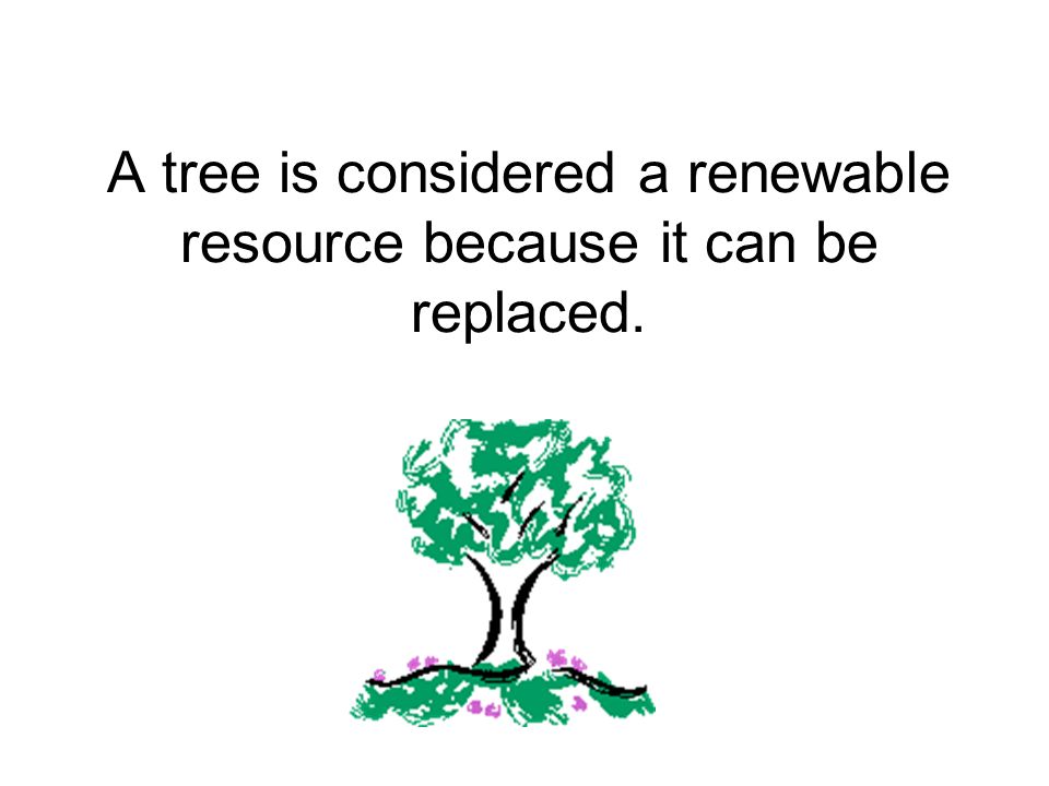 A tree is considered a renewable resource because it can be replaced.