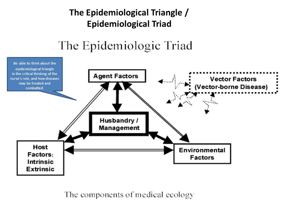 Why environment matters- a hint of Epidemiologic Triad